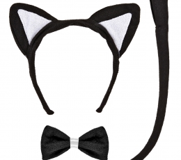 Aksessuaaride komplekt „Kass“