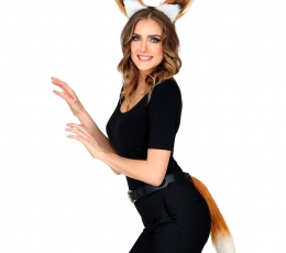 Aksessuaaride komplekt "Rebane" 0