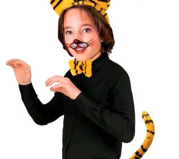 Aksessuaaride komplekt "Tiiger " 1