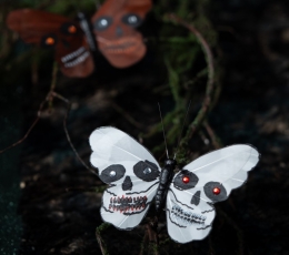 Dekoratiivsed klambrid „Koljulised liblikad“ 1