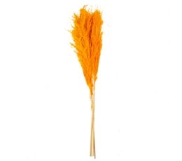 Dekoratiivkõrreliste kimp, oranž (3 tk / 80 cm)