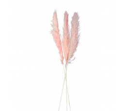 Dekoratiivkõrreliste kimp, roosa (3 vnt./100-135 cm)