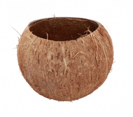 Dekoratiivne anum "Kookospähkel" (13x10 cm)