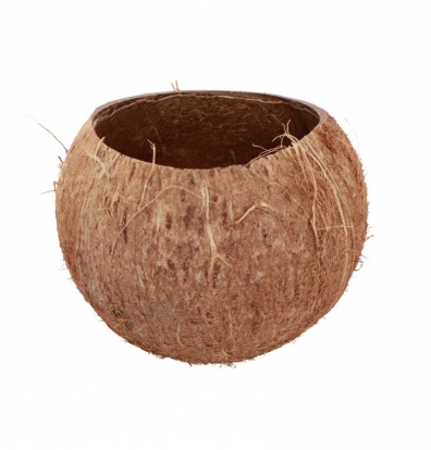 Dekoratiivne anum "Kookospähkel" (13x10 cm)