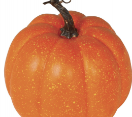 Dekoratiivne kõrvits (18 cm)