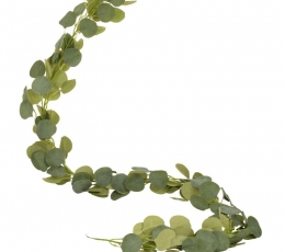  Dekoratiivne roheline vanik "Eukalüpt" (2 m) 1