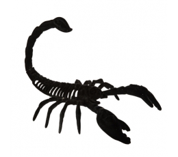 Dekoratiivne skorpion, sametmust (14,5x20,5 cm)