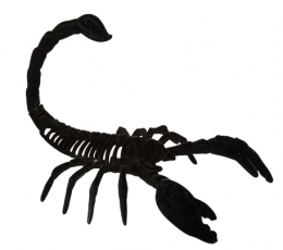 Dekoratiivne skorpion, sametmust (14,5x20,5 cm) 1