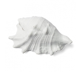  Dekoratiivne merekarp , valge (12X8 cm)