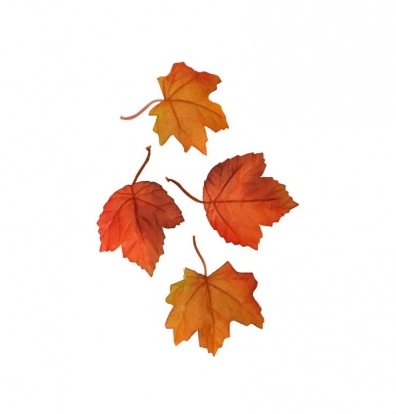 Dekoratiivsed vahtralehed (12 tk)