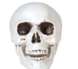 Dekoratsioon "Kolju"  (8 cm)