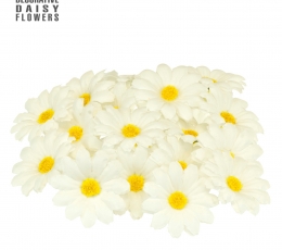 Dekoratsioonid „Karikakra õied“ (20 tk) 2