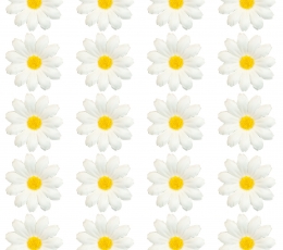 Dekoratsioonid „Karikakra õied“ (20 tk) 1