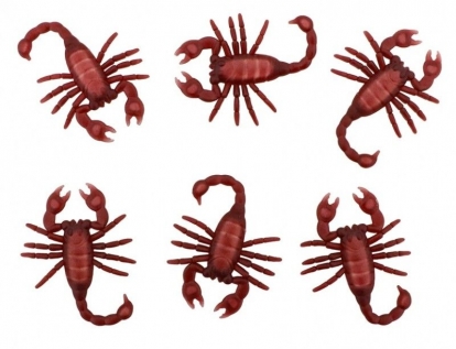 Dekoratsioonid "Skorpionid (6 tk./5x8 cm)