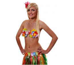 Hawaii rinnahoidja