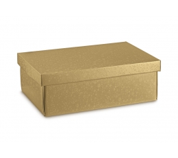  Kaanega karp, kuldne (37,5X26X12,5 cm)