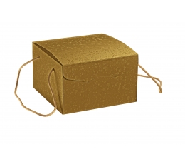 Karp käepidemetega, kuldne (24,5X24,5X15 cm)