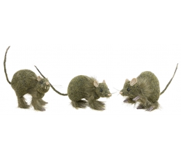 Karvane rott (13 cm)