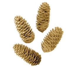 Kaunistused-männikäbid, kuldsed piklikud (12 tk./3x6 cm)