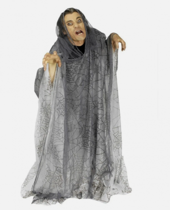 Keep "Ämblikuvõrgu Viirastus " 