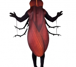 Kostüüm „Prussakas“ (M/L) 1