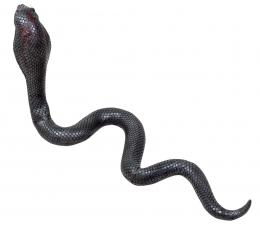 Kummist kobra (65 cm) 1