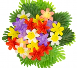 Lauakaunistuste komplekt „Hawaii“