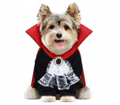 Lemmiklooma kostüüm „Vampiir“ (M)