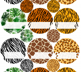 Topside kleebised "Safari"