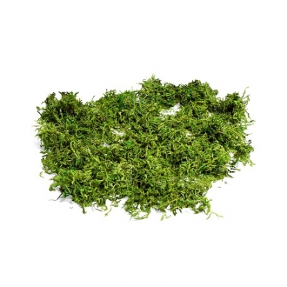  Looduslik sammal (50 g)