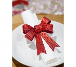 Paelad, punased läikivad (3 tk./10x12 cm) 1