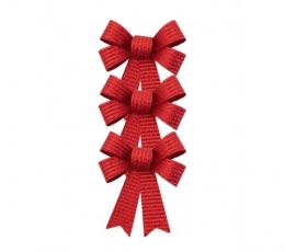 Paelad, punased läikivad (3 tk./10x12 cm)