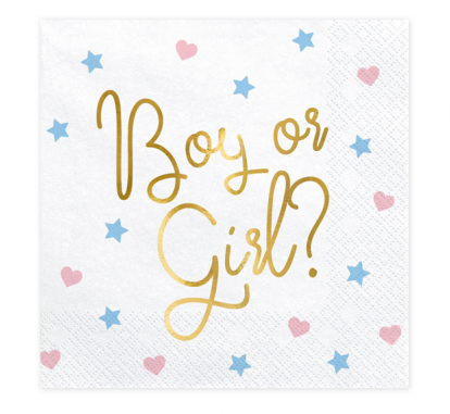 Salvrätikud "Boy or Girl" (20 tk.)