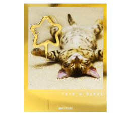 Säraküünal kaardiga "Have a break" (11x8 cm)