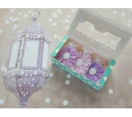 Seebikesed – kapilõhnastajad