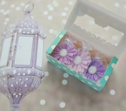 Seebikesed – kapilõhnastajad