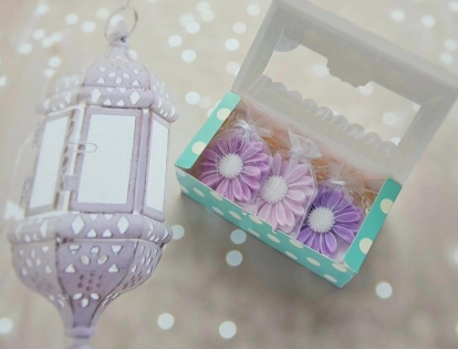 Seebikesed – kapilõhnastajad