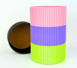 Silindrikujuline karp