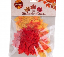 Sügislehtede komplekt (36 tk) 1