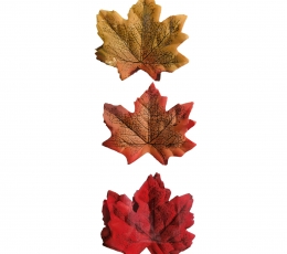 Sügislehtede komplekt (36 tk)