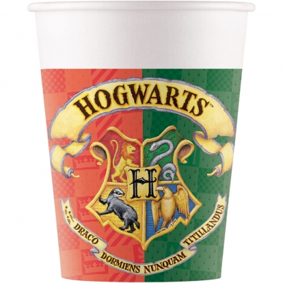 Topsid "Harry Potter" (8 tk./200 ml)