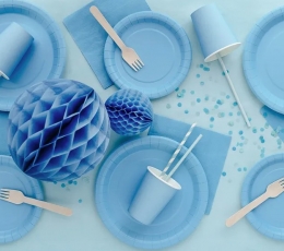 Topsid, helesinised (6 tk / 250 ml) 1