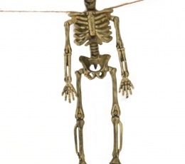 Vanik "Skeletid" (80 cm) 1