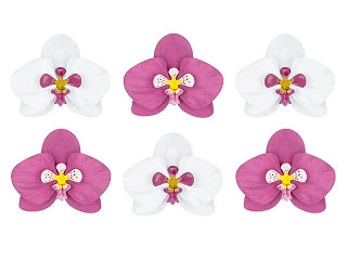 Dekoratsioonide komplekt "Orhideed" (6 tk.)